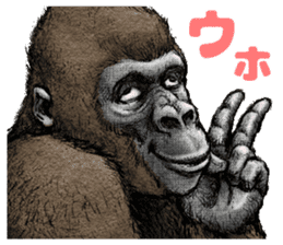 Gorilla gorilla sticker #7457061