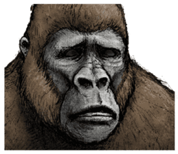 Gorilla gorilla sticker #7457072
