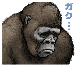 Gorilla gorilla sticker #7457074