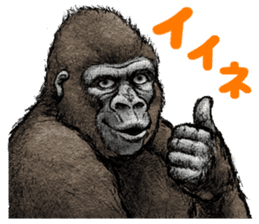 Gorilla gorilla sticker #7457076