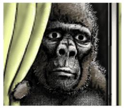 Gorilla gorilla sticker #7457081