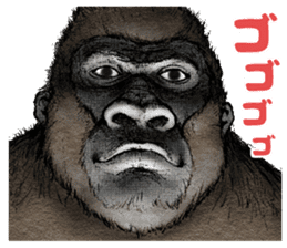 Gorilla gorilla sticker #7457086