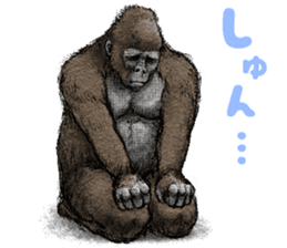 Gorilla gorilla sticker #7457087