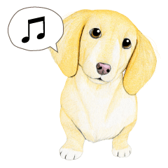 Miniature Dachshund sticker (English)