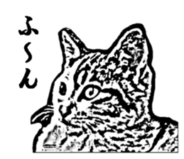 Cat8v5 sticker #7461174