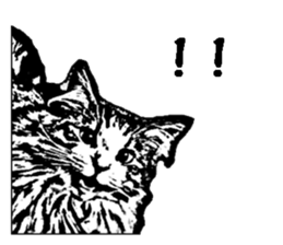 Cat8v5 sticker #7461176