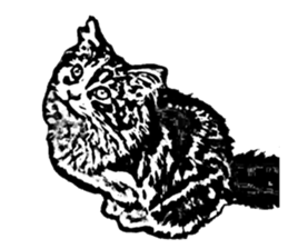 Cat8v5 sticker #7461181