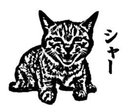 Cat8v5 sticker #7461182