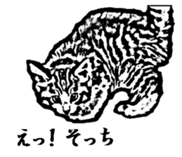 Cat8v5 sticker #7461192