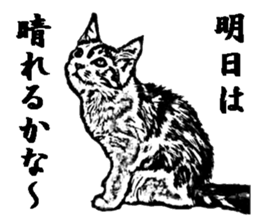 Cat8v5 sticker #7461196