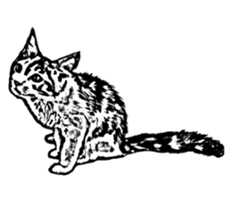 Cat8v5 sticker #7461197