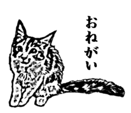 Cat8v5 sticker #7461202