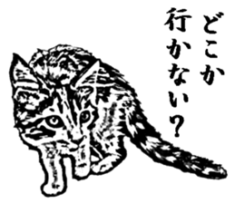 Cat8v5 sticker #7461205