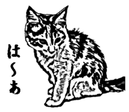 Cat8v5 sticker #7461207