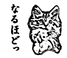 Cat8v5 sticker #7461209
