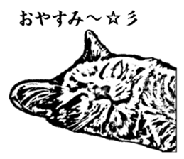 Cat8v5 sticker #7461211