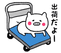 White pig Sticker sticker #7462030