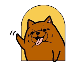 Daily life of POMERANIAN "BEAR". sticker #7462132