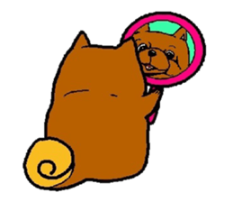 Daily life of POMERANIAN "BEAR". sticker #7462140