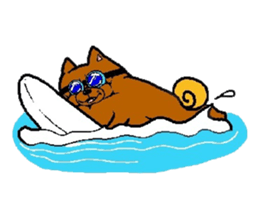 Daily life of POMERANIAN "BEAR". sticker #7462142