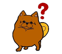 Daily life of POMERANIAN "BEAR". sticker #7462143