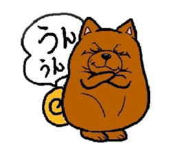 Daily life of POMERANIAN "BEAR". sticker #7462144