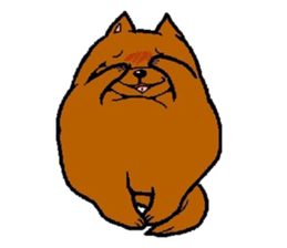 Daily life of POMERANIAN "BEAR". sticker #7462150