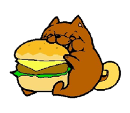 Daily life of POMERANIAN "BEAR". sticker #7462153