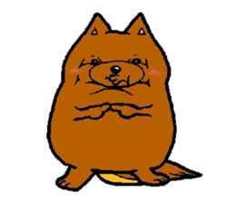 Daily life of POMERANIAN "BEAR". sticker #7462156