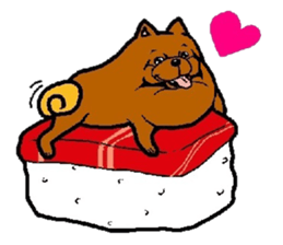 Daily life of POMERANIAN "BEAR". sticker #7462165