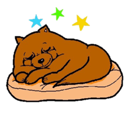 Daily life of POMERANIAN "BEAR". sticker #7462166