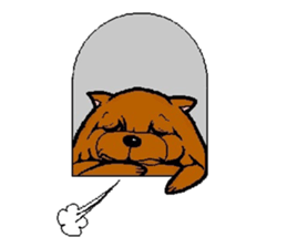 Daily life of POMERANIAN "BEAR". sticker #7462169