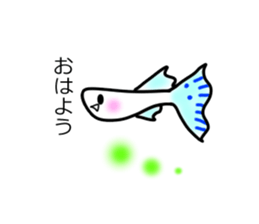 sticker of a cute guppy sticker #7462692