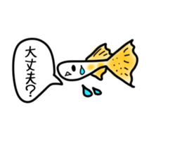 sticker of a cute guppy sticker #7462693