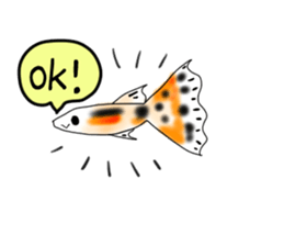 sticker of a cute guppy sticker #7462699