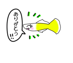 sticker of a cute guppy sticker #7462701