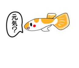 sticker of a cute guppy sticker #7462704