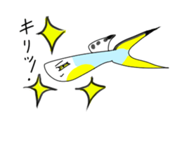 sticker of a cute guppy sticker #7462706