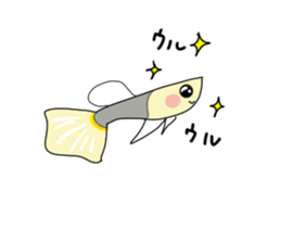 sticker of a cute guppy sticker #7462707