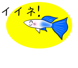 sticker of a cute guppy sticker #7462719