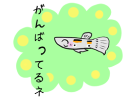 sticker of a cute guppy sticker #7462721