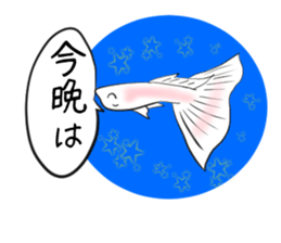 sticker of a cute guppy sticker #7462723