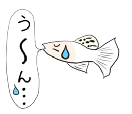 sticker of a cute guppy sticker #7462724