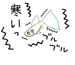 sticker of a cute guppy sticker #7462727