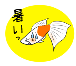 sticker of a cute guppy sticker #7462728
