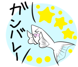 sticker of a cute guppy sticker #7462729