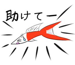 sticker of a cute guppy sticker #7462730
