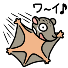 Sticker of the world rare animal sticker #7463293