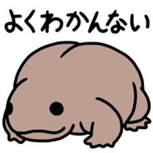 Sticker of the world rare animal sticker #7463306