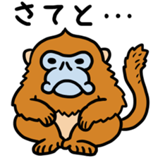 Sticker of the world rare animal sticker #7463311